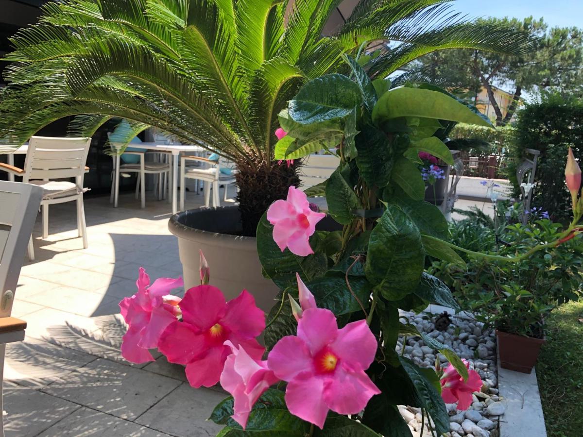 סירמיונה Sunset Apartment מראה חיצוני תמונה